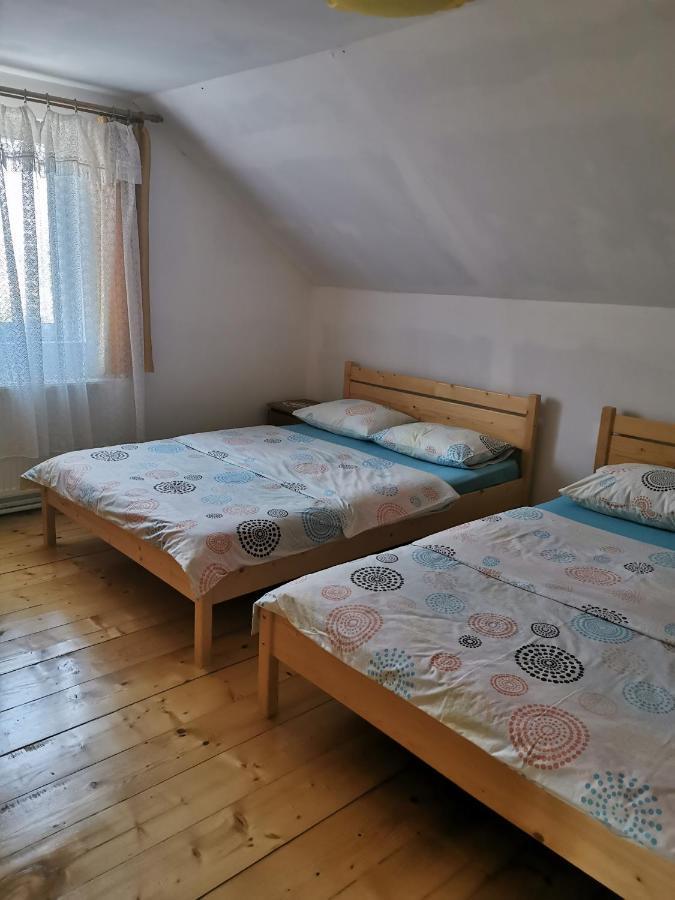 Вілла The Wooden House Moldovenesti Екстер'єр фото