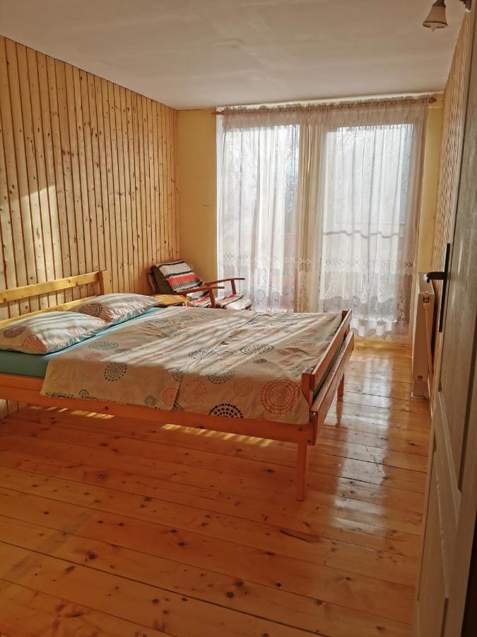 Вілла The Wooden House Moldovenesti Екстер'єр фото