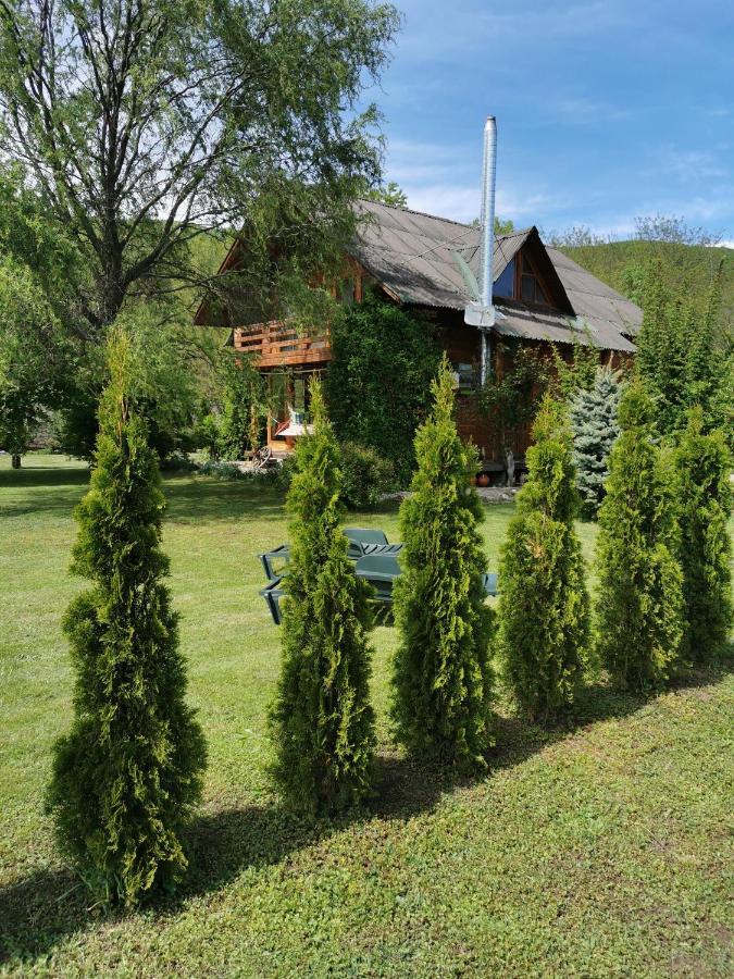 Вілла The Wooden House Moldovenesti Екстер'єр фото