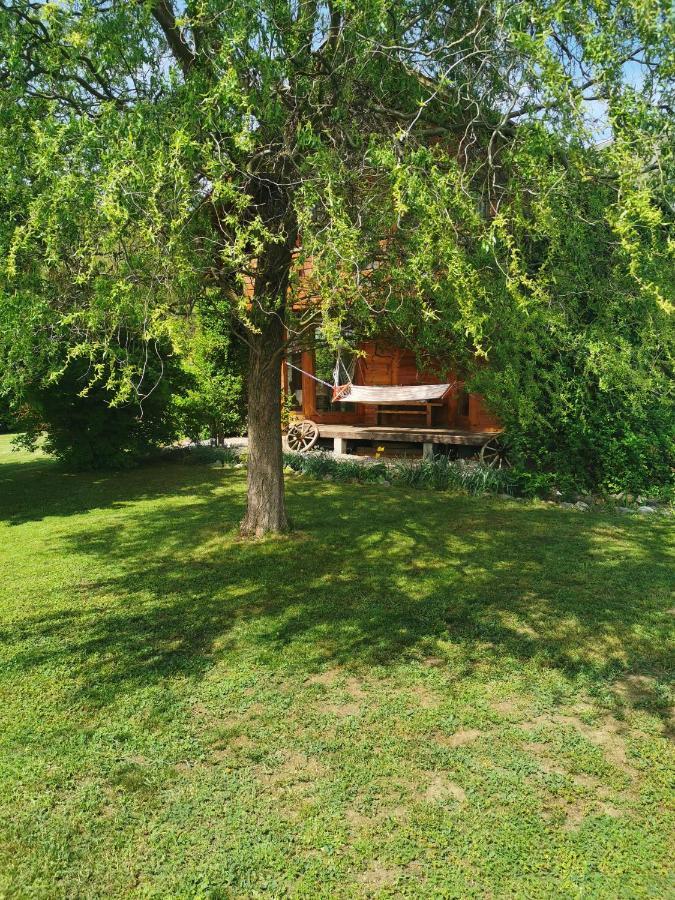 Вілла The Wooden House Moldovenesti Екстер'єр фото