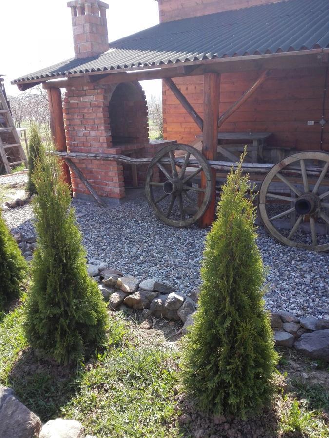 Вілла The Wooden House Moldovenesti Екстер'єр фото