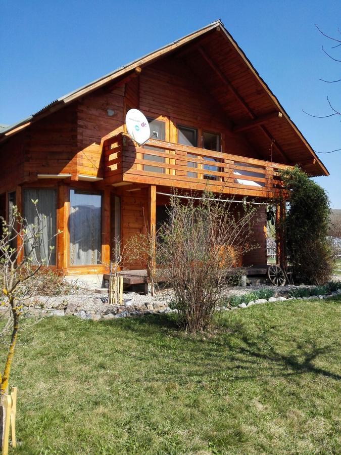Вілла The Wooden House Moldovenesti Екстер'єр фото