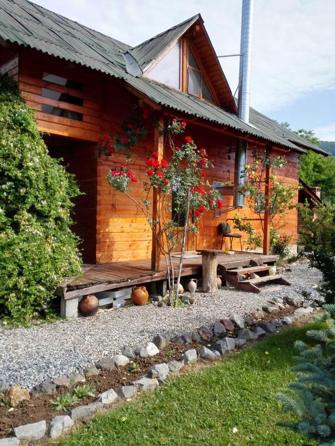 Вілла The Wooden House Moldovenesti Екстер'єр фото
