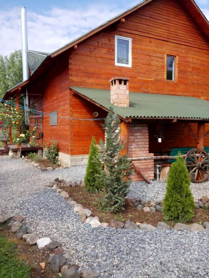 Вілла The Wooden House Moldovenesti Екстер'єр фото