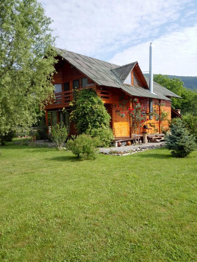 Вілла The Wooden House Moldovenesti Екстер'єр фото