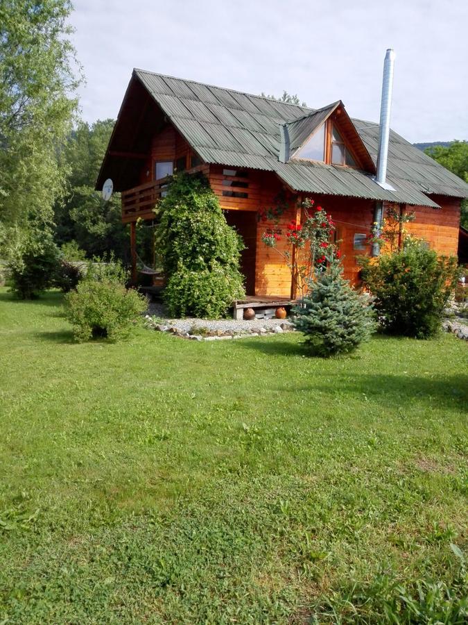 Вілла The Wooden House Moldovenesti Екстер'єр фото