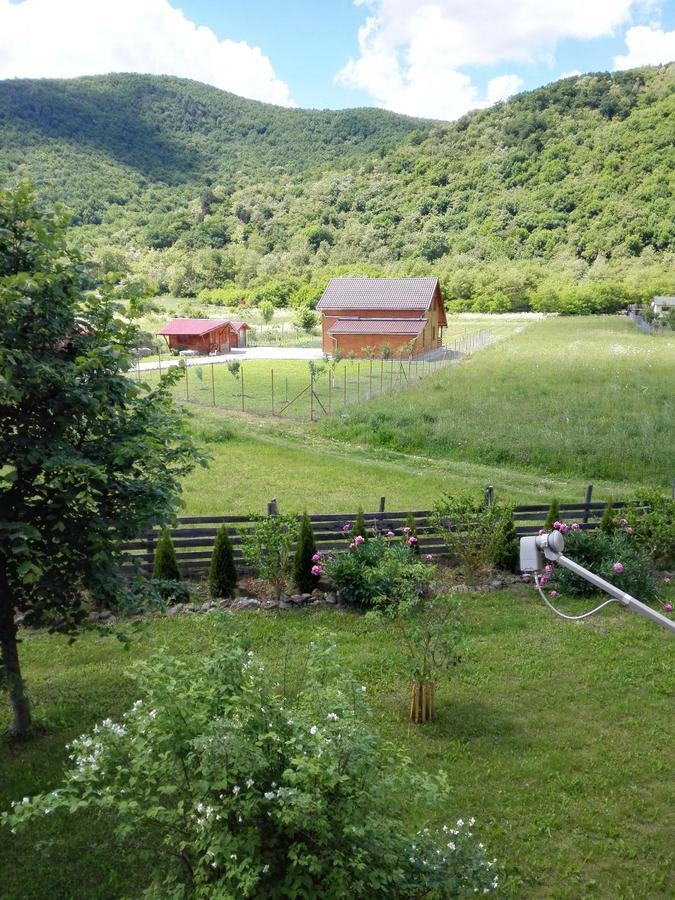 Вілла The Wooden House Moldovenesti Екстер'єр фото
