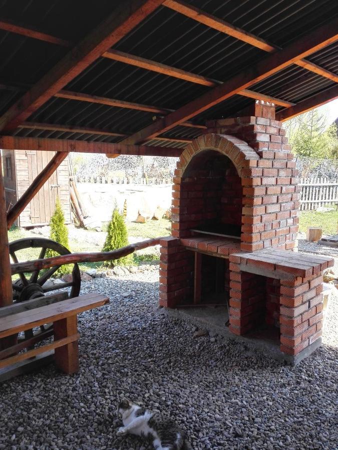 Вілла The Wooden House Moldovenesti Екстер'єр фото