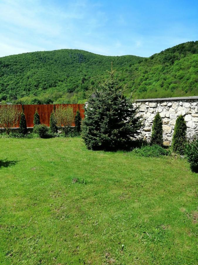 Вілла The Wooden House Moldovenesti Екстер'єр фото