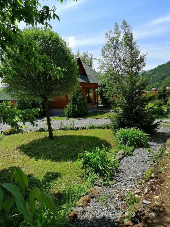 Вілла The Wooden House Moldovenesti Екстер'єр фото